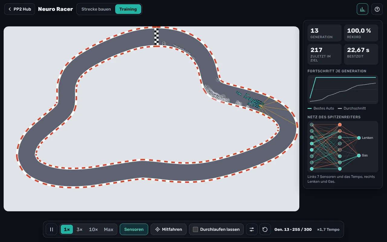 Neuro Racer in Generation 13: ein Schwarm Autos im rechten Teil der Strecke, rechts die Statistik, das Fortschrittsdiagramm und das Netz des Spitzenreiters